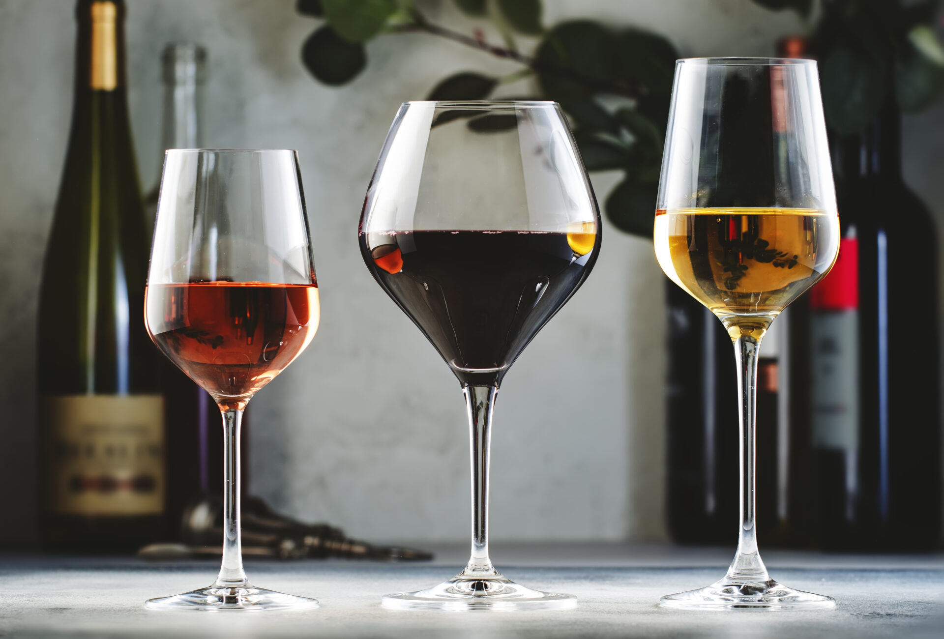 Wines assortment. Red, white, rose wine in wineglasses and bottles on gray background.