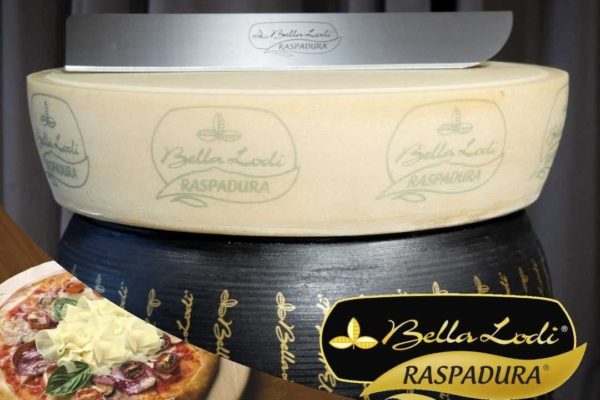 CHEESE_2 CHEESE_2